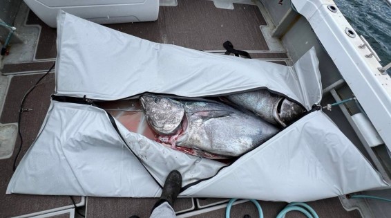 特殊加工によりニオイや汚れがつきにくく丸洗い可能