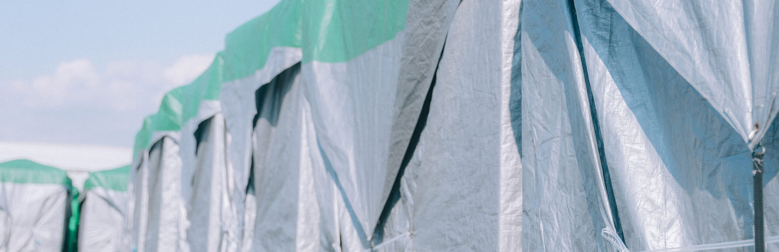 シートカバー商品